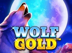 Wolf Gold: Free Play and Slot Review