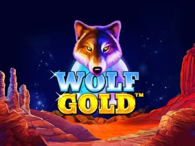 Wolf Gold: Free Play and Slot Review hero image