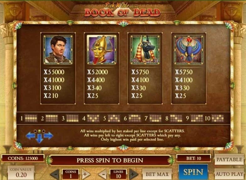 Book of Dead Slot Game 