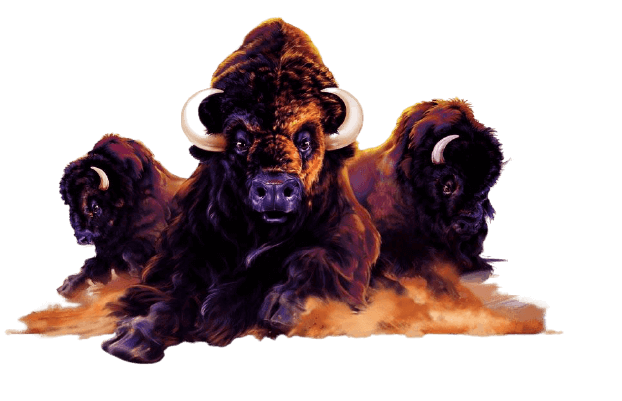buffalo slot