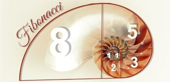 Fibonacci Betting System – A Complete Overview hero image